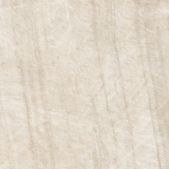 Taj Mahal Reale Velvet