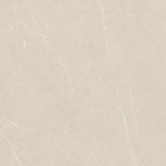 Arena Beige Satin