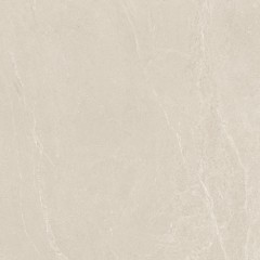 Arena Beige Satin